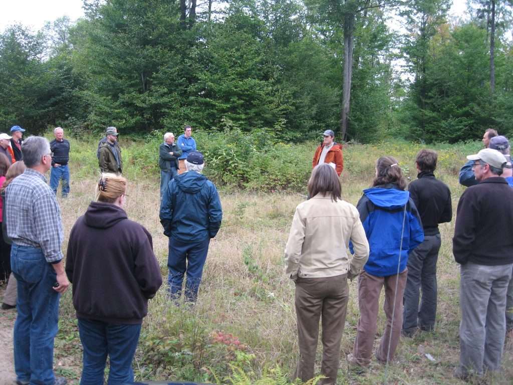 A group of people listening to a forest ranger in a clearing surrounded by trees