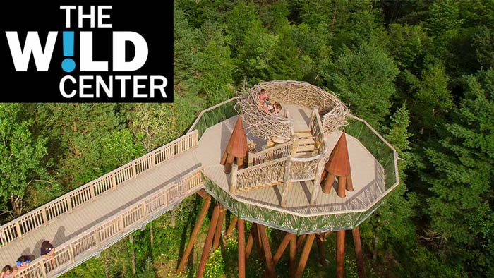The wild Center overhead view of walkway over the tree tops of a forest